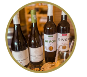 PROVAS VINHOS-16